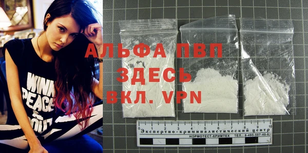 спайс Арсеньев