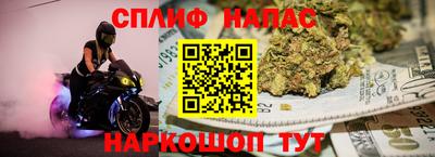 гидра Свободный